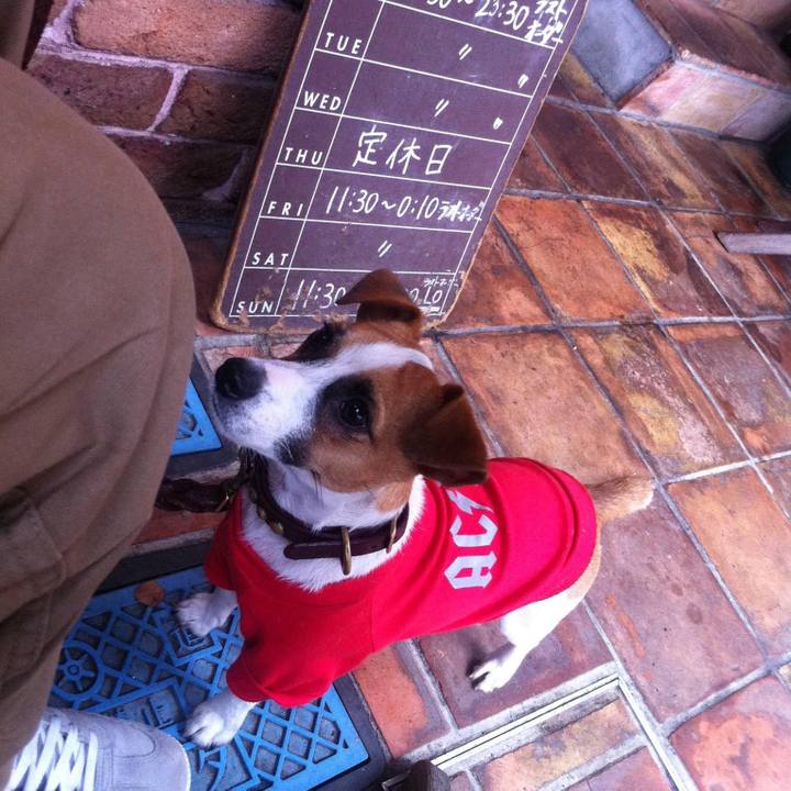 65d2a448 ae15 4107 bcda b135f2719cc7 1699356675768