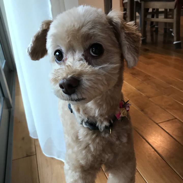 65d2d2cc 8be8 44cd 9e55 69620c671919 1528977408902