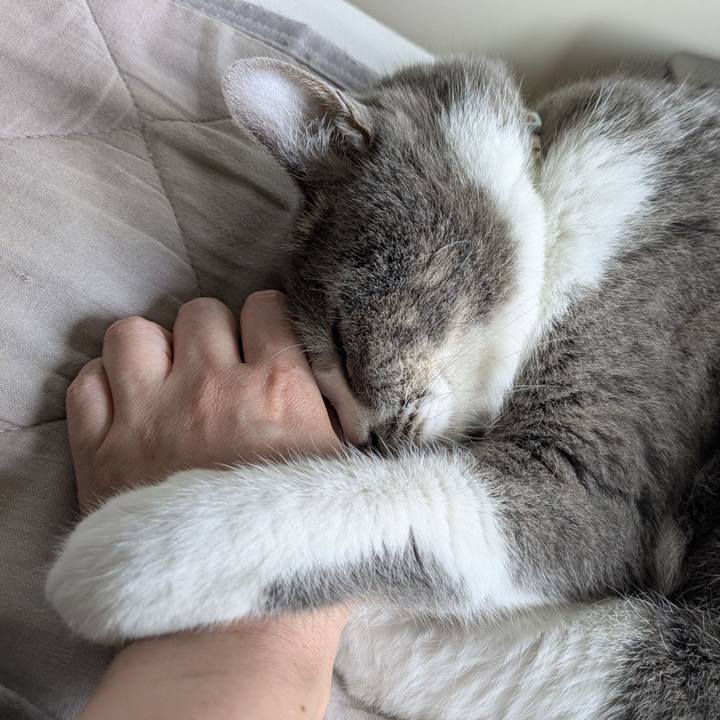 65d31630 363e 4a76 a50b 375b94391003 1750463943218