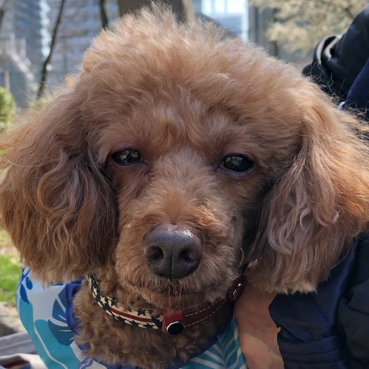 65d31d91 e828 4ce4 9d14 0ea0fb2be4a0 1616570026882