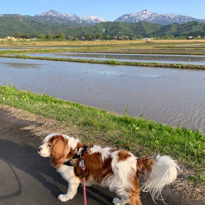 65d32fbf 7c3c 4092 b3f8 3f9898c6d610 1620290807512