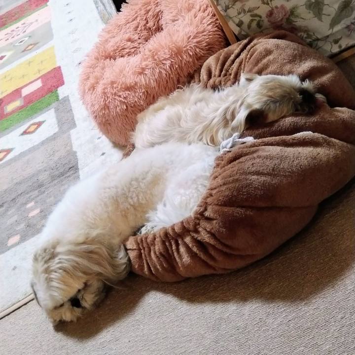 65d34e51 b170 4263 a48c be7f3de62fe5 1652246152344