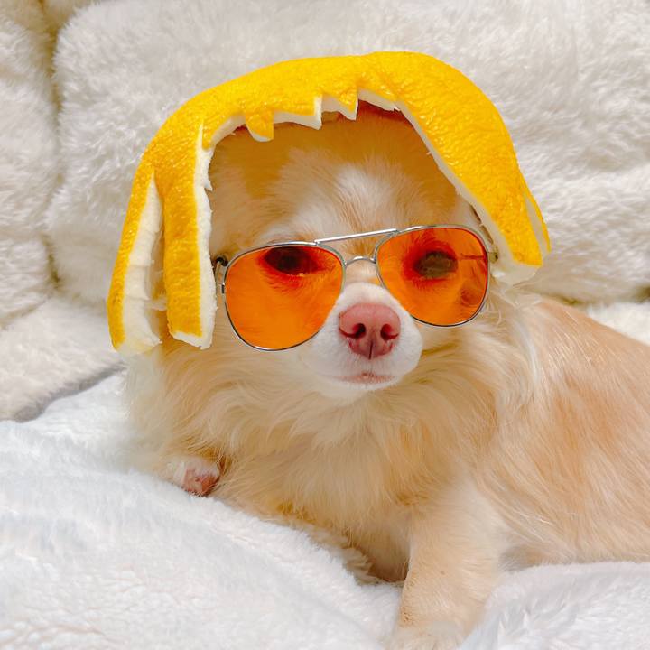 65d353ad c3fc 484f baa4 d15f27943b88 1649987555082