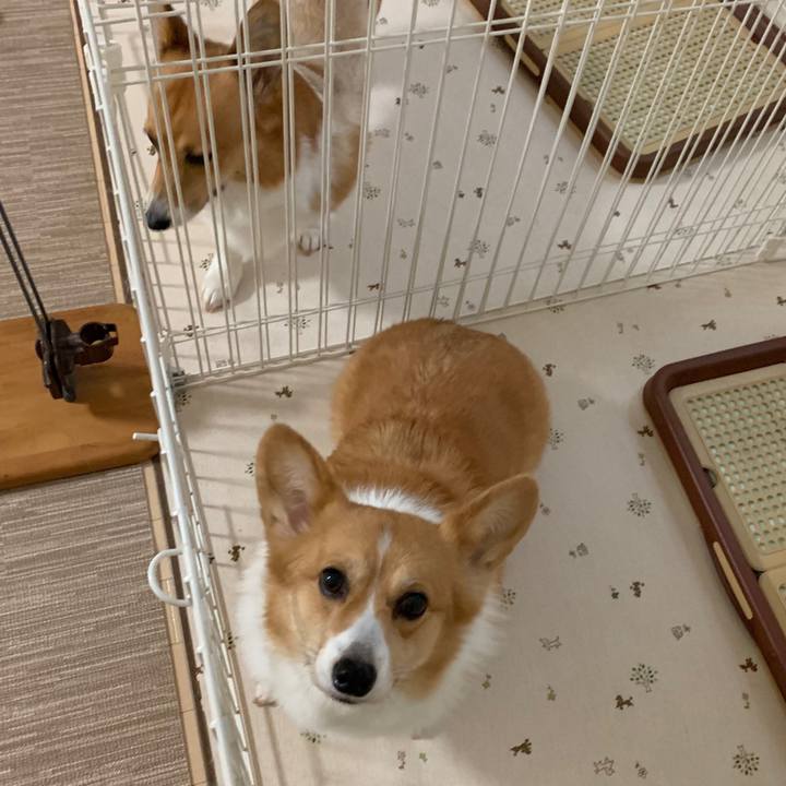 65d367dd fff0 45da 882a 397dbb2a552d 1562683387699