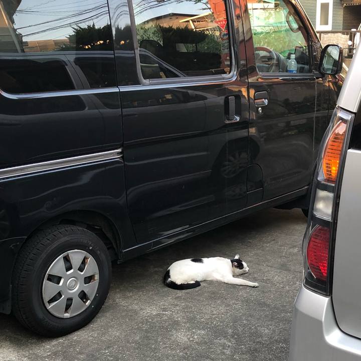 65d37172 1cf1 45e7 80ef dc37caa3575e 1527940136170