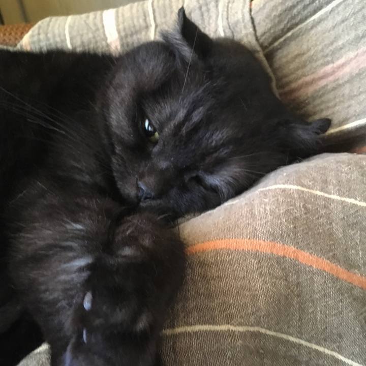 65d37a99 047e 42ae 9492 2922b36c031a 1540425774045