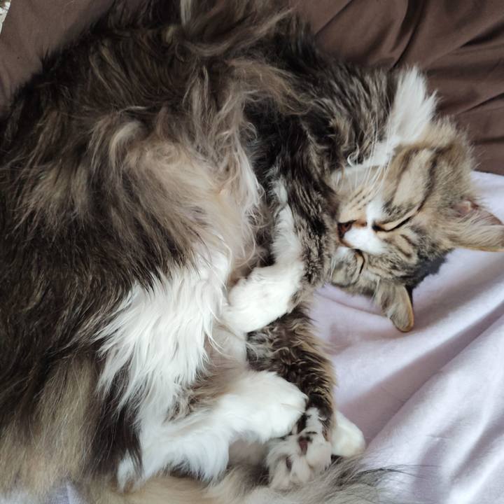 65d37dee 2564 47a9 90d7 e817e98c7b9b 1776246770983