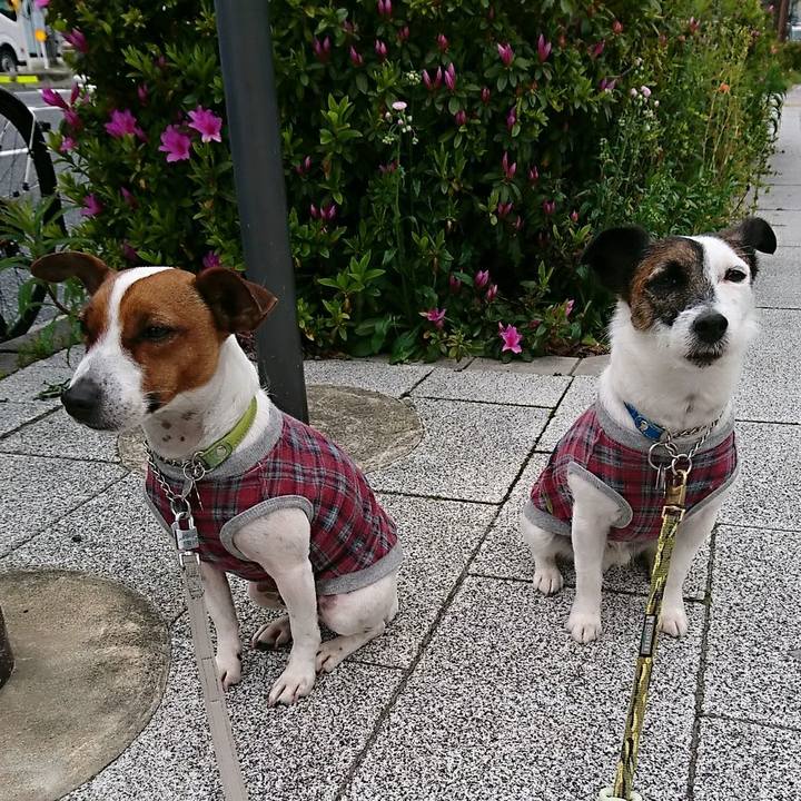 65d3ae23 b1d8 45f0 8a94 87366ca6d868 1587076200601