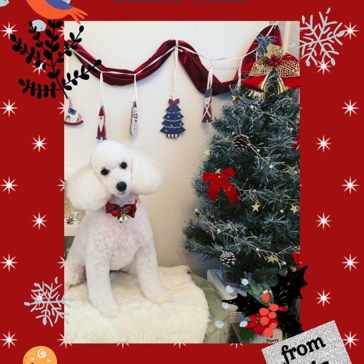 65d3d34b 0e21 4afd a79a 6695176483f2 1766656158902