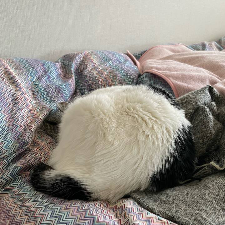 65d3dc81 484c 4e29 a20b 13fdcddb6507 1646528350960