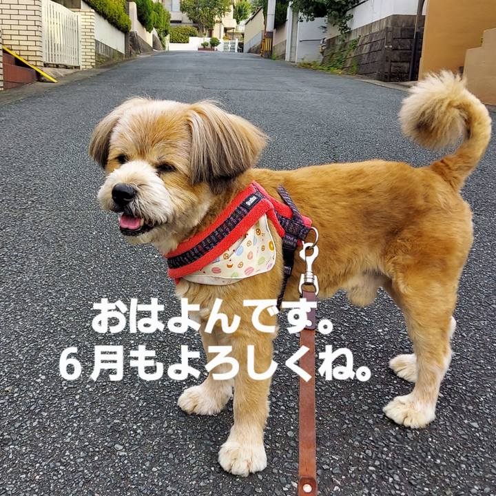 65d42d73 065f 4d8c 841b 54b2bf2e98f9 1654038500906