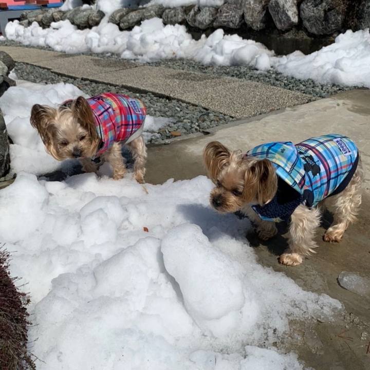 65d43fd1 fd7c 48b4 9eba 302978d6318a 1648462633782