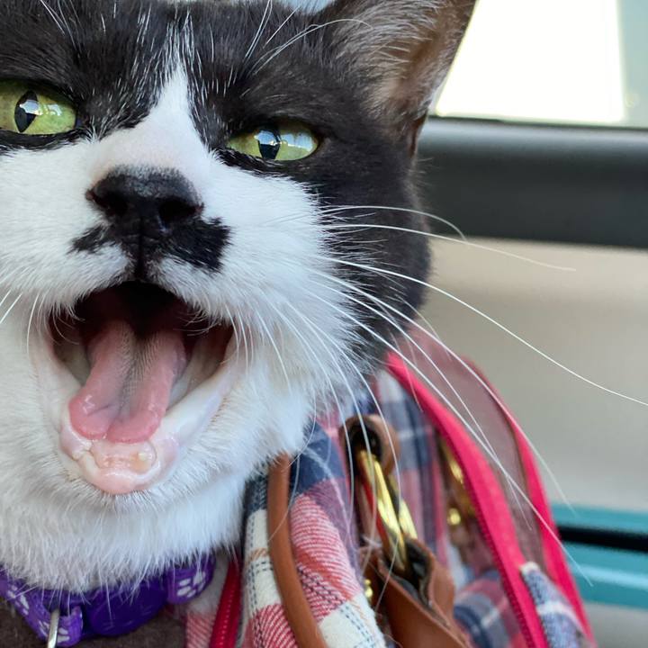 65d44faf 935b 4dd3 aa88 ada23f48ee97 1629417705480