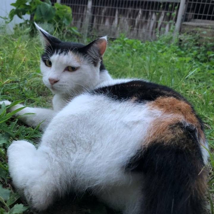 65d46cf7 7104 4b21 954e 742560718145 1598350539310