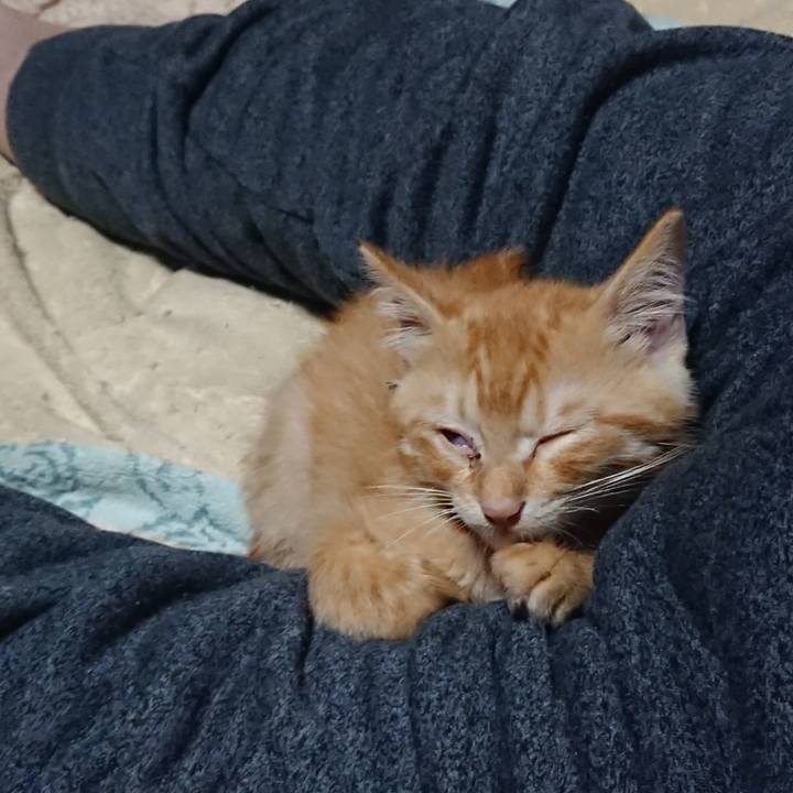 65d47a80 0934 428a bebf 538aea1a5343 1629810398547