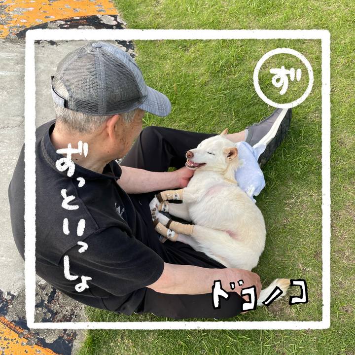 65d48800 57a3 4710 a3a6 4083b5b8a7c6 1685964047463