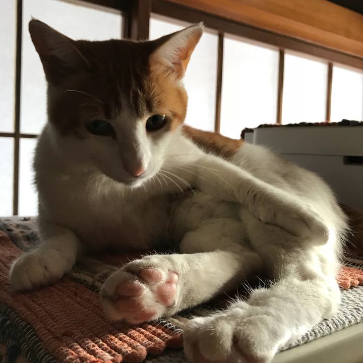 65d49ce6 1990 4582 bf0b 1d62faa1f357 1514438155943