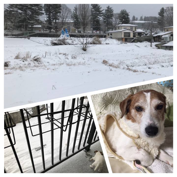 65d4c628 a7a3 4455 8373 96fc427b36f9 1513034162728