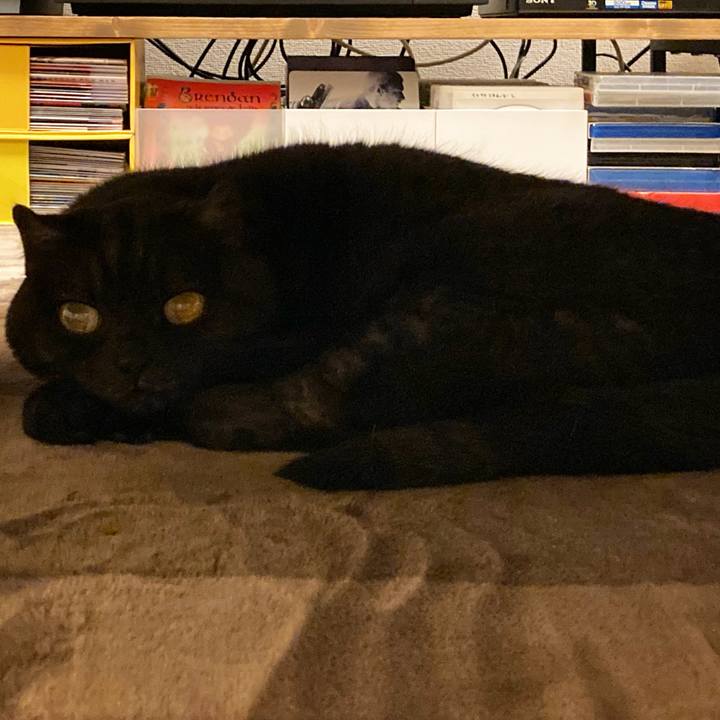 65d4d2e5 0343 4dd2 9341 2fcc6e1697a9 1603898726666