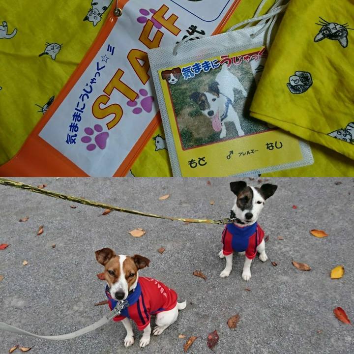 65d4e880 4f73 41ef b05b 5fe45085af3e 1555152082963