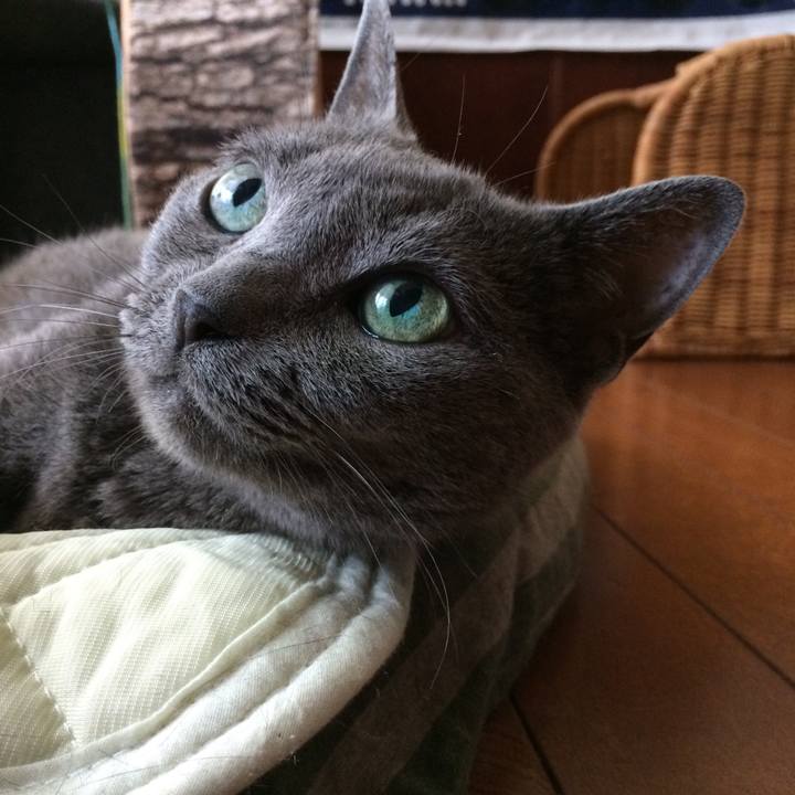 65d4f51d 38f3 4ac5 be95 c0aaea96426e 1533076369028