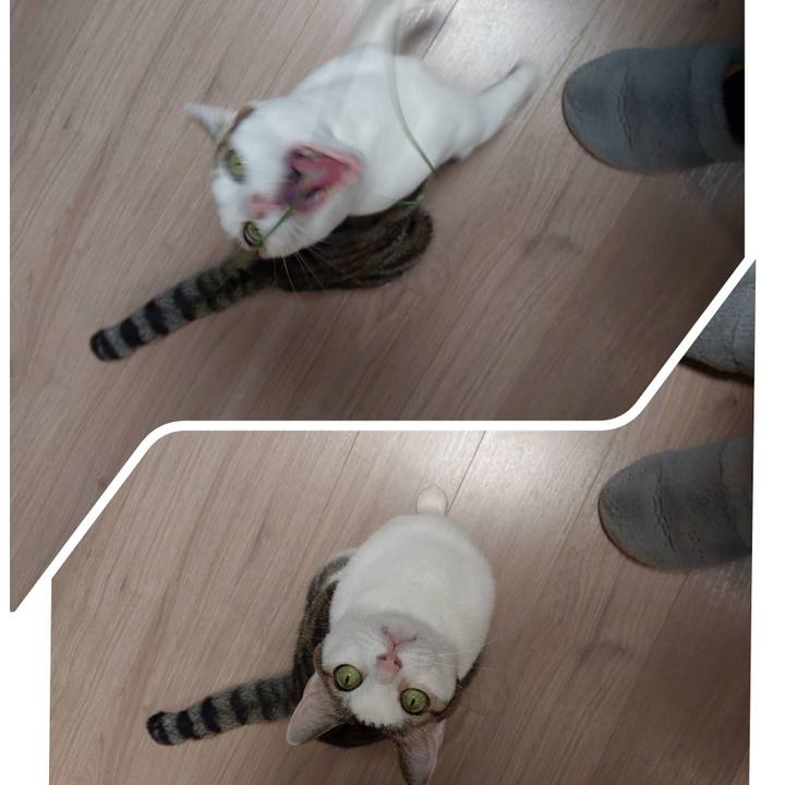 65d4ffbf d037 49fe b579 2245be8193f9 1647045066764