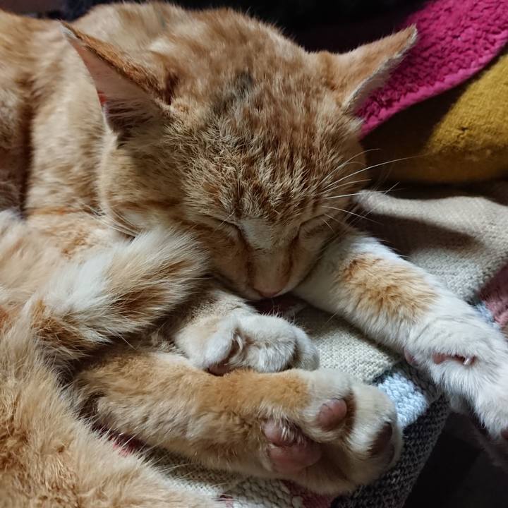 65d51378 76ad 4cc0 9398 cdaf078352d8 1556883688281