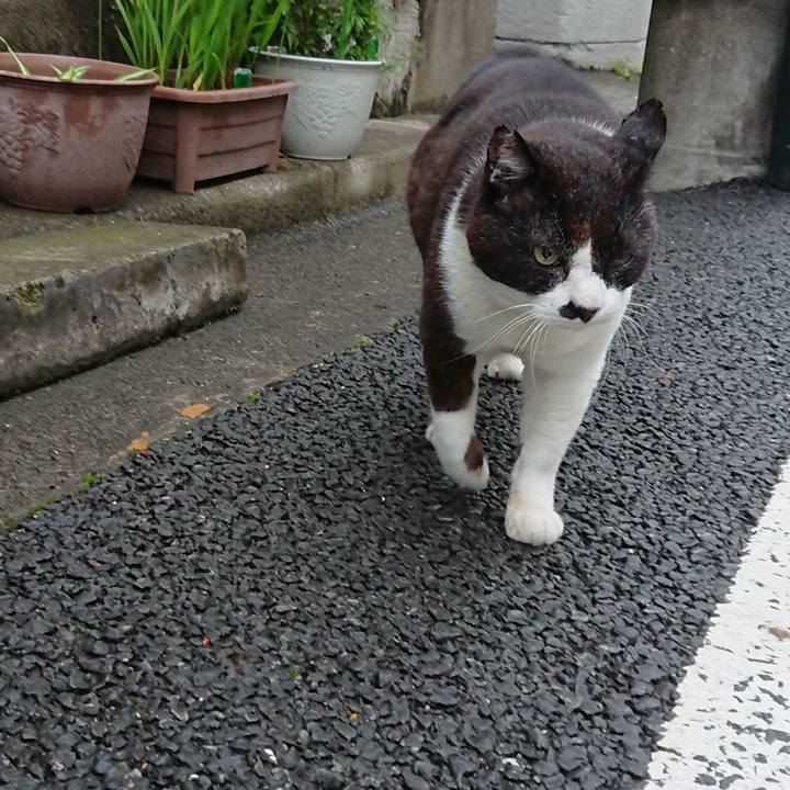 65d561f9 4bb6 413d 8835 7e4c61b58638 1655282340997