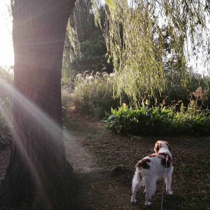 65d58ed7 cac5 4318 9dce 6b7d8a34a75e 1633779565258