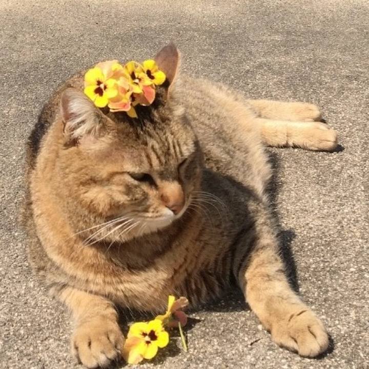 65d596a0 7974 40f1 b1b2 b7fa5823be9c 1772920629066