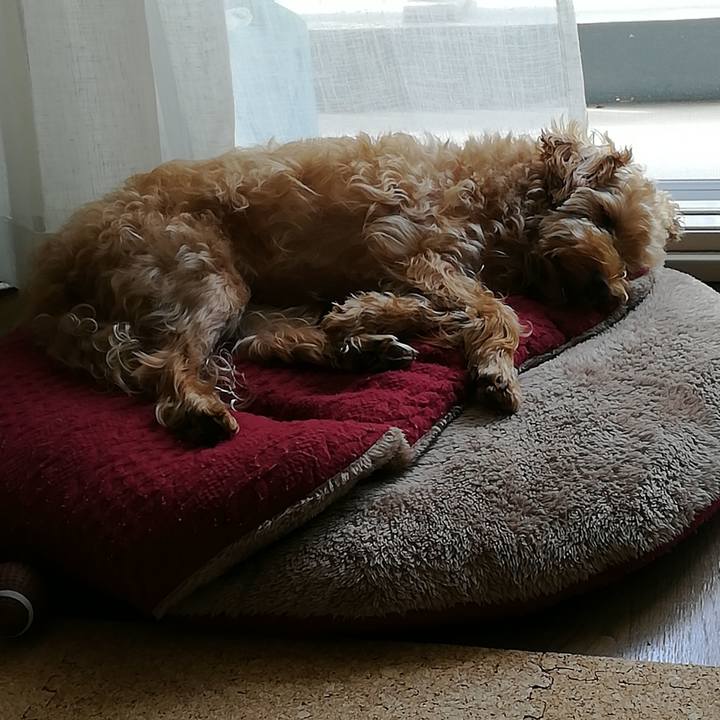 65d5a90c 1d54 4dca bd3b eaa5502e5e87 1535770558151