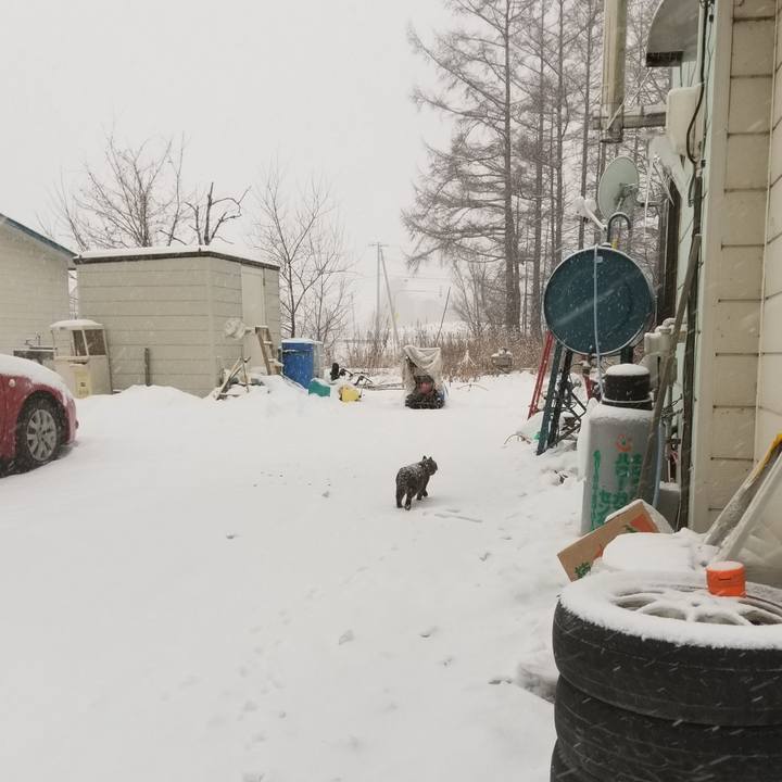 65d5e55d 4393 43ec 91bb 9cce1ae87888 1580568217031