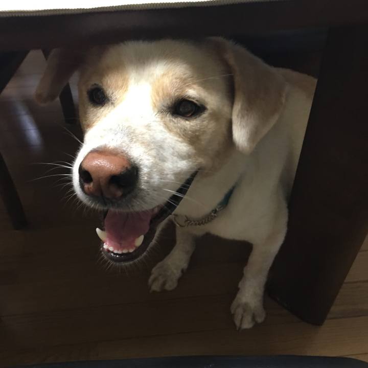 65d5e853 26d9 4b28 b1a5 f92e9f923b2a 1530744627973