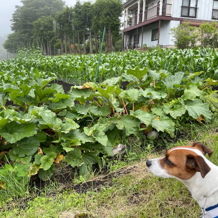 65d612fe 9c04 4a20 a028 191c115726e5 1624426375331