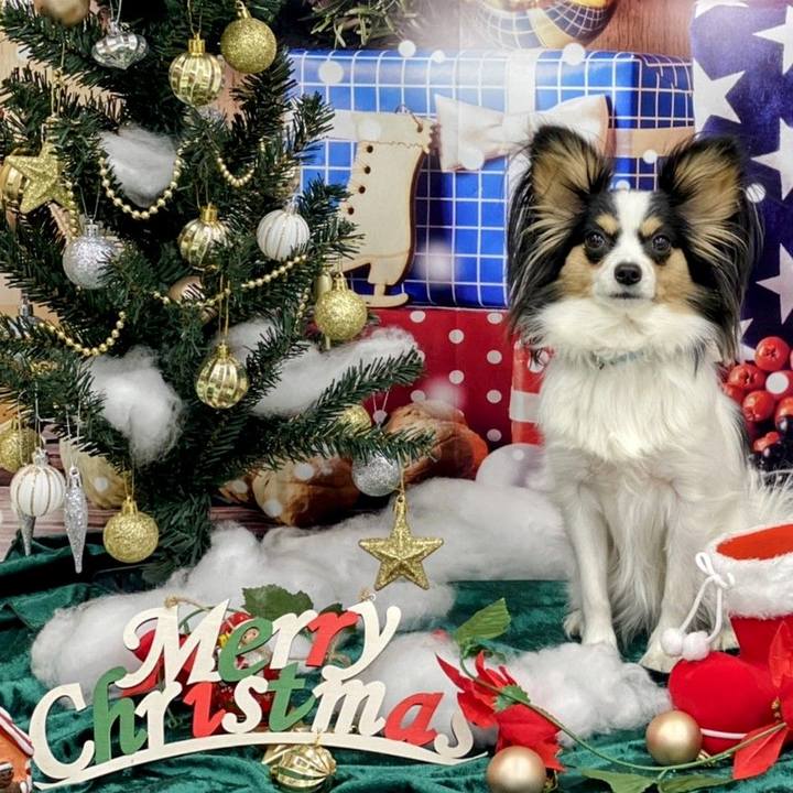 65d65cbe e70f 4f8c 88e3 fef5c26a1e90 1640345189484