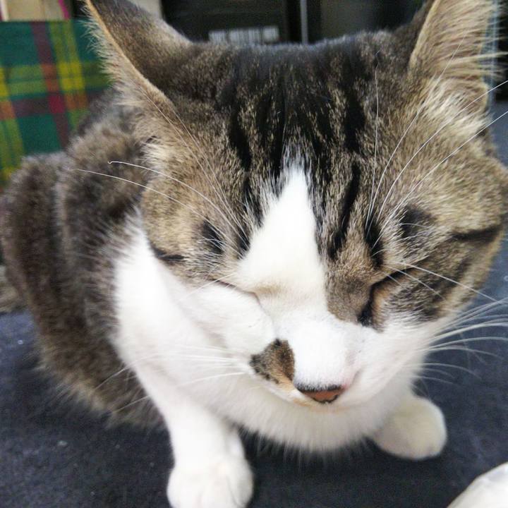 65d69b06 70de 4d12 b568 a50a3ab1990b 1646563484288