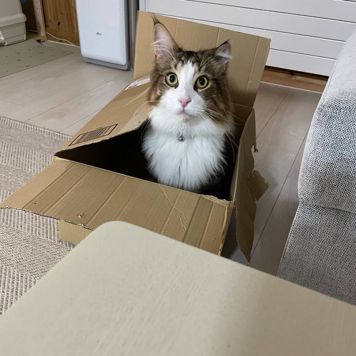 65d6bca0 9bbb 40a7 a3b8 68331d94e546 1661197420801