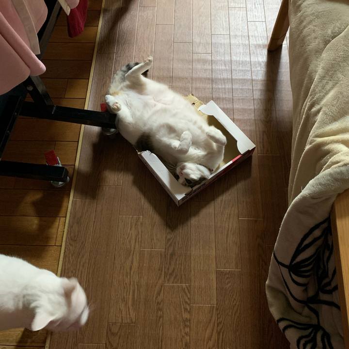 65d6cecf 3aa2 407a 9ff5 4f9557567462 1613641230502