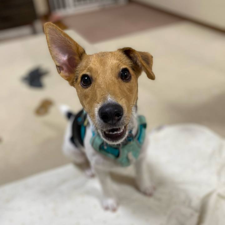 65d6d6c4 b6a8 4eae b038 411ce2df6aeb 1752670736134