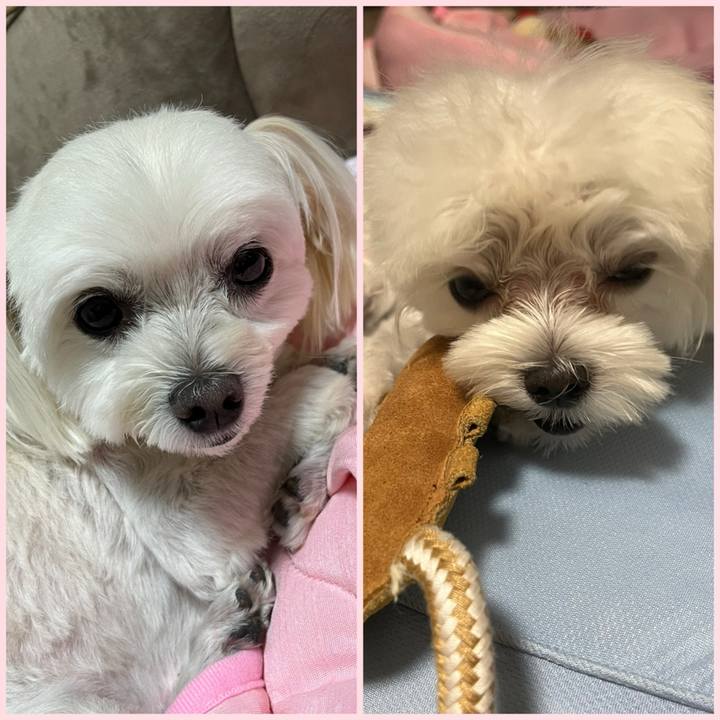 65d72eaf 5834 4cdd 9934 a1515e48c790 1723551282535