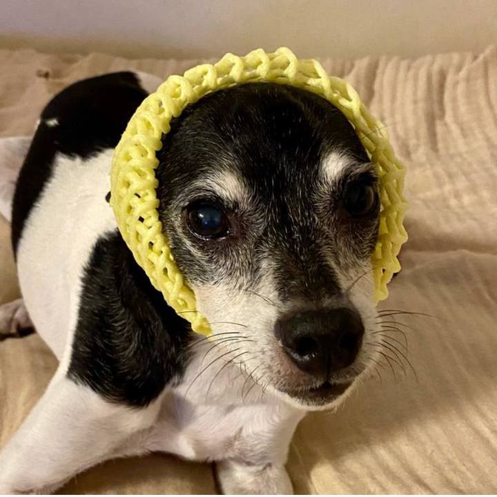 65d73e39 faaa 4dcf 9531 941c70c5d775 1691141413072