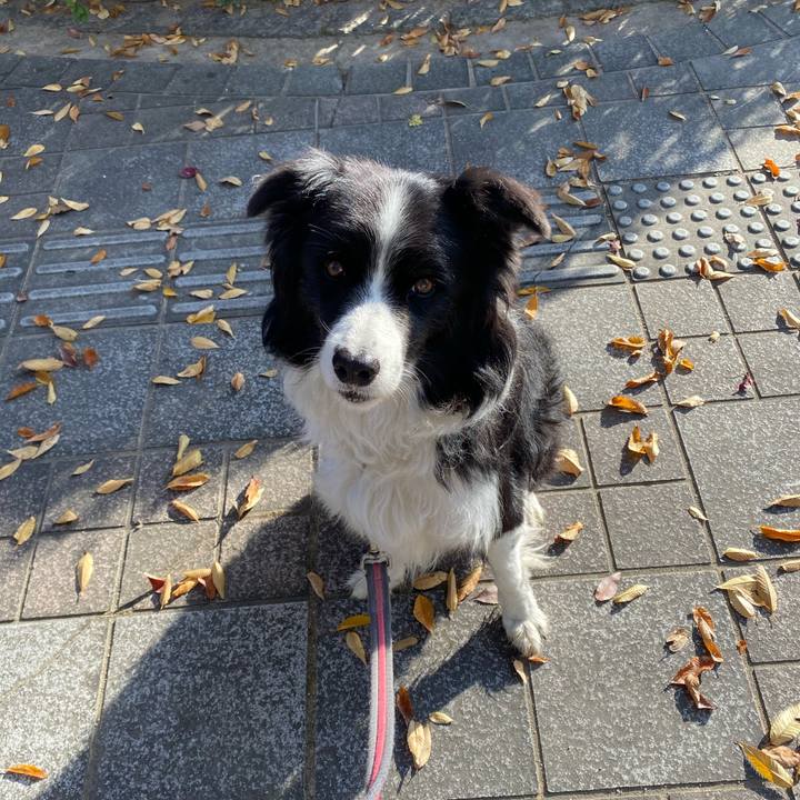 65d7a4ed 3333 4960 a2b5 60390ec58e5f 1637368895608