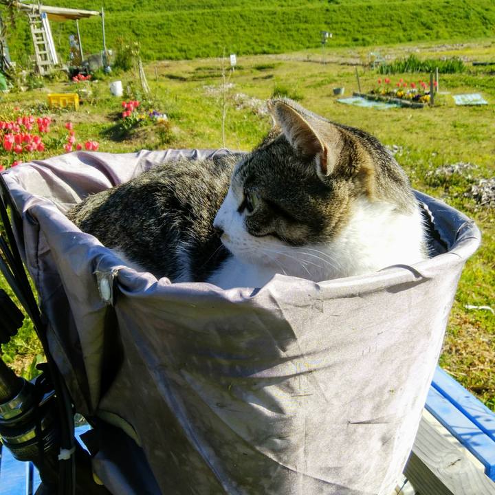 65d7e01c 3aad 4f43 92f8 cb1de1bfa94c 1555115086327