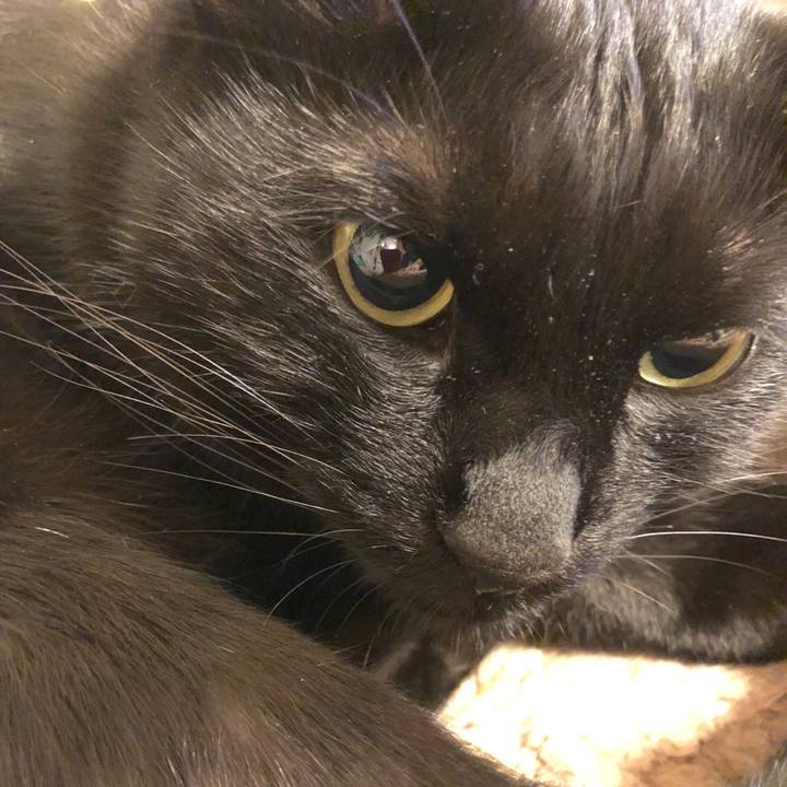 65d7f6dc 4169 4494 bc20 98d2cd935924 1512208854392