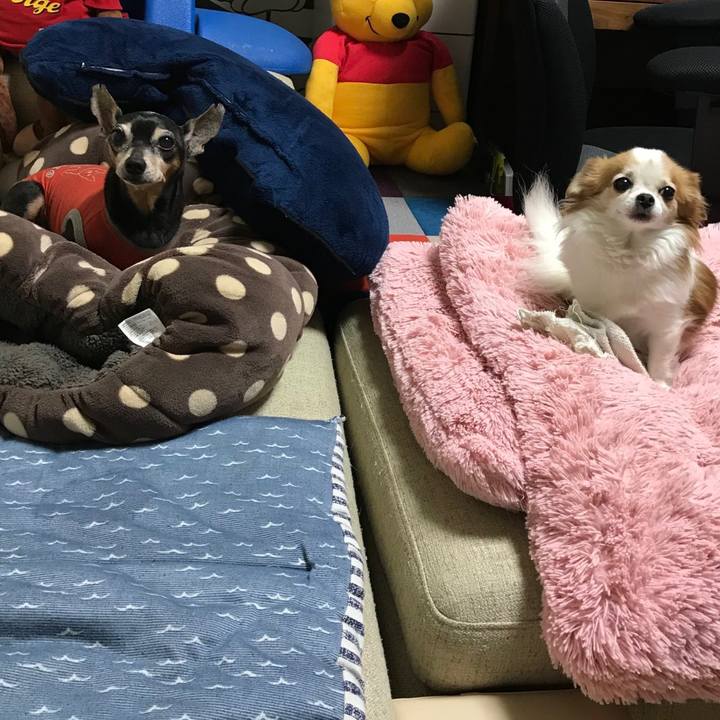 65d80540 d2fc 4df9 923b 89f05df5c72c 1584532414670