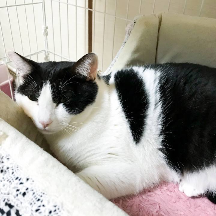 65d83504 a8bd 45d0 9fe8 9f9cd6e728b1 1518016065006