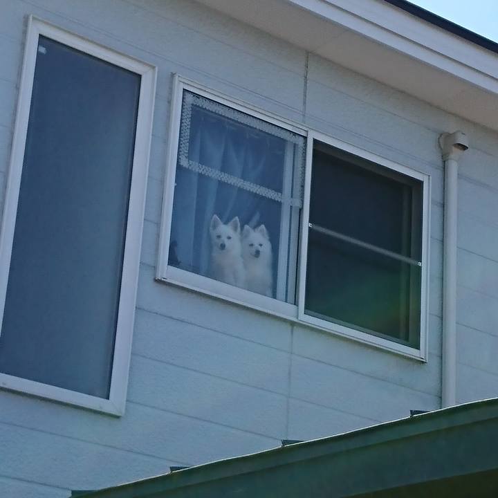 65d87b3b 6b74 4230 800f 51cbb5206abd 1556508811467