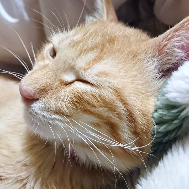 65d87b6d b285 4cbd b052 7461d0a2e04d 1633955243227