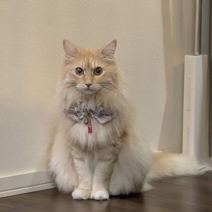 65d88587 d04c 4176 9ac8 6ff07a089a2b 1754916722915