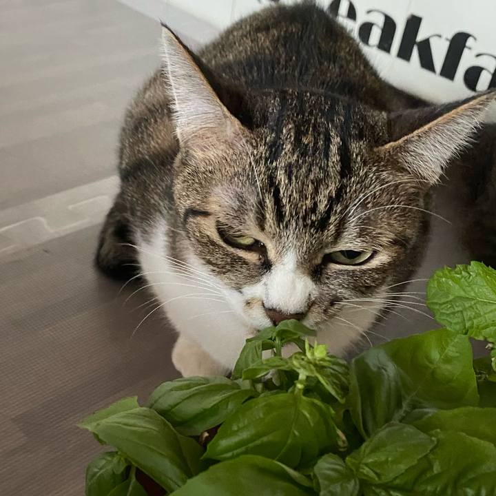 65d893e9 aeb1 4f1b b001 b076eff86944 1630900893973